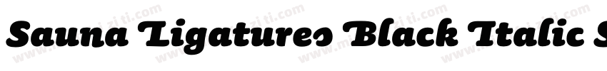 Sauna Ligatures Black Italic Swash字体转换
